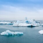 World Leaders Meet to Address Climate Change Crisis