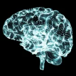 New Study Links COVID-19 to Accelerated Brain Aging