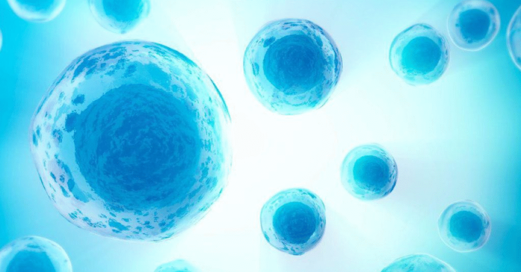 Global Economic Review