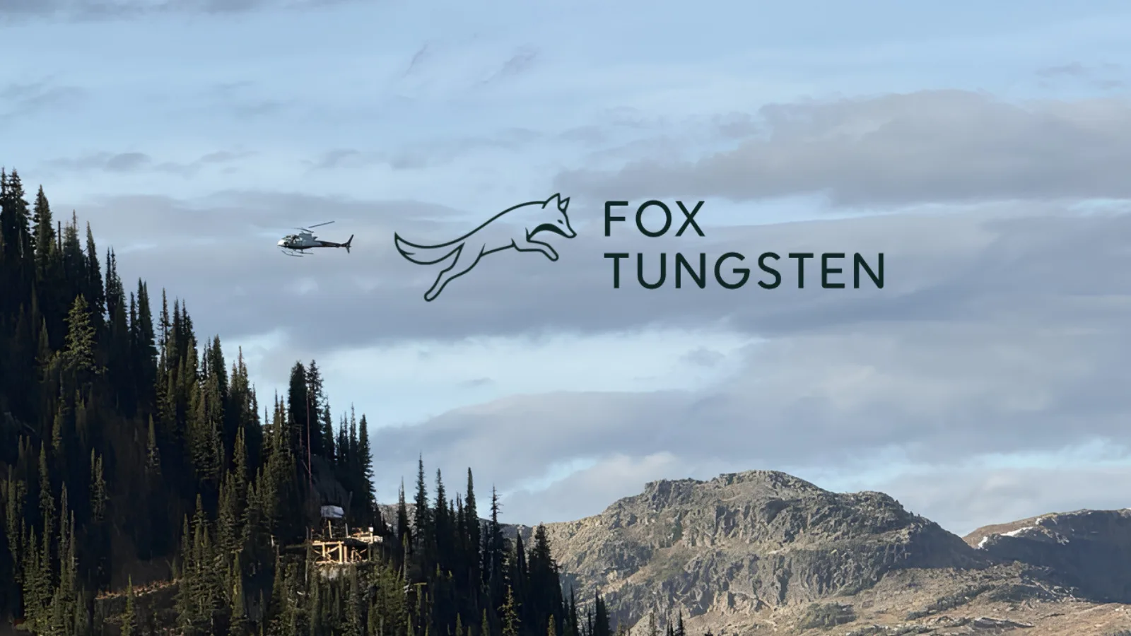 FOXT Is Advancing Across Multiple Fronts!
